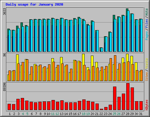 Daily usage for January 2020