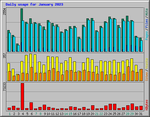 Daily usage for January 2023