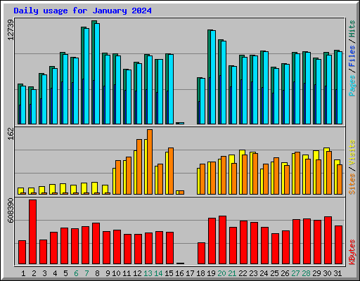 Daily usage for January 2024