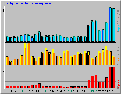 Daily usage for January 2025