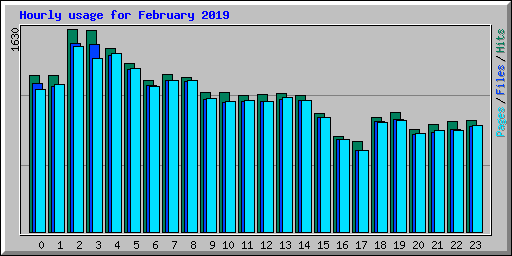 Hourly usage for February 2019