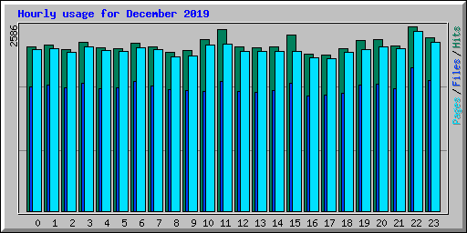 Hourly usage for December 2019