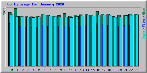 Hourly usage for January 2020