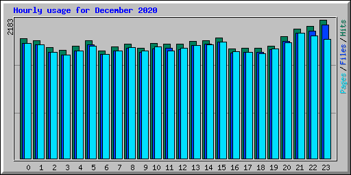 Hourly usage for December 2020