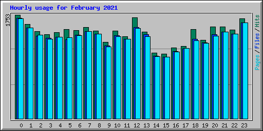 Hourly usage for February 2021