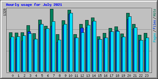 Hourly usage for July 2021