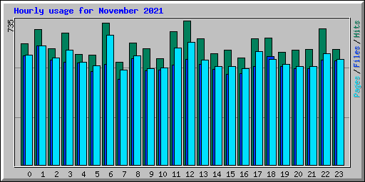 Hourly usage for November 2021