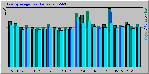 Hourly usage for December 2021