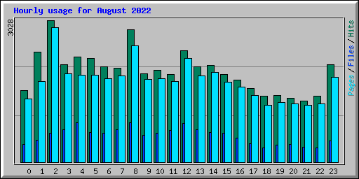 Hourly usage for August 2022