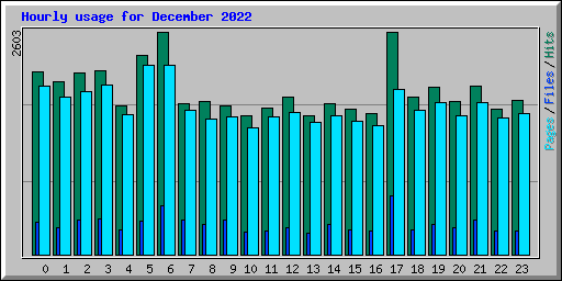 Hourly usage for December 2022