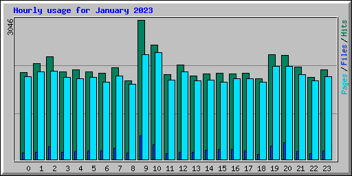 Hourly usage for January 2023