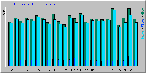 Hourly usage for June 2023