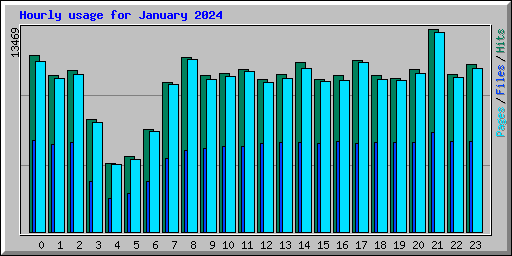 Hourly usage for January 2024