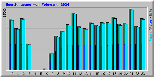 Hourly usage for February 2024