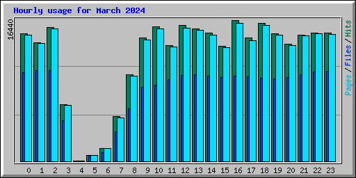 Hourly usage for March 2024
