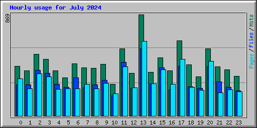 Hourly usage for July 2024