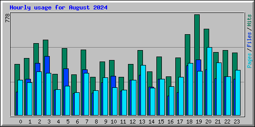 Hourly usage for August 2024