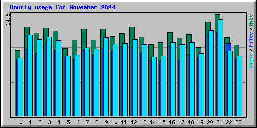 Hourly usage for November 2024