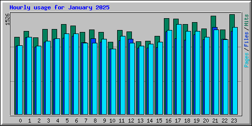 Hourly usage for January 2025