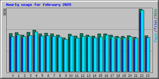 Hourly usage for February 2025