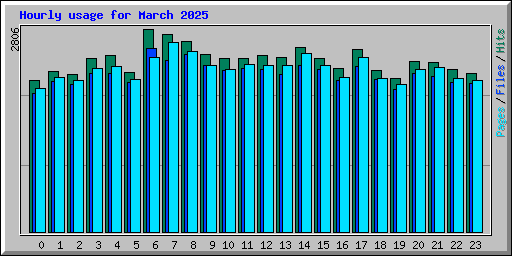 Hourly usage for March 2025