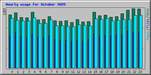 Hourly usage for October 2025