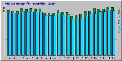 Hourly usage for December 2025