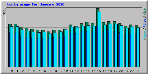Hourly usage for January 2026