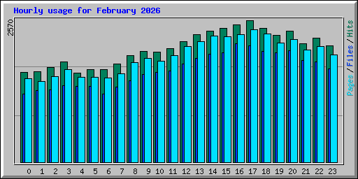 Hourly usage for February 2026