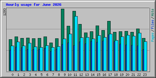 Hourly usage for June 2026